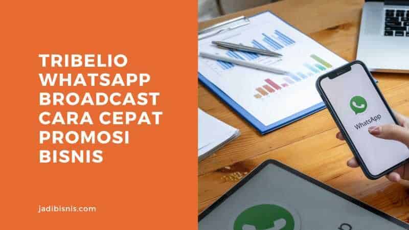 Tribelio WhatsApp Broadcast Cara Cepat Promosi Bisnis