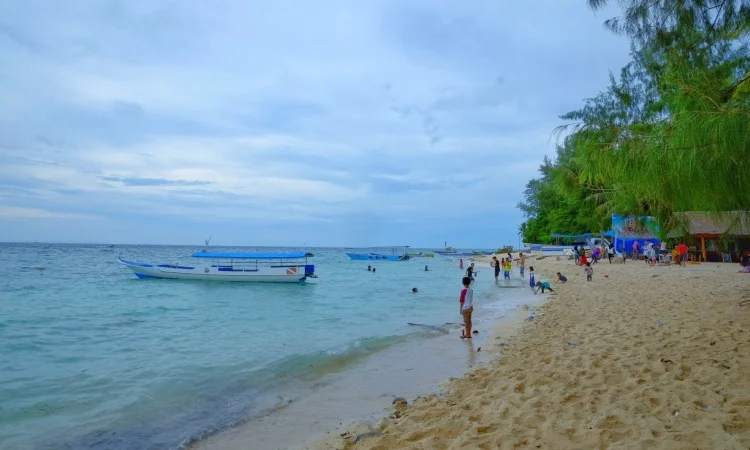 Eksplorasi Keindahan Pantai Cemara di Wakatobi: Pesona Alam dan Kebudayaan Lokal